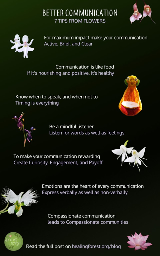 7 Tips to Improve Communication Skills
